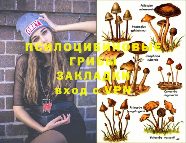 круглые Алзамай