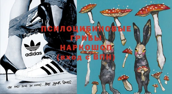 индика Абаза