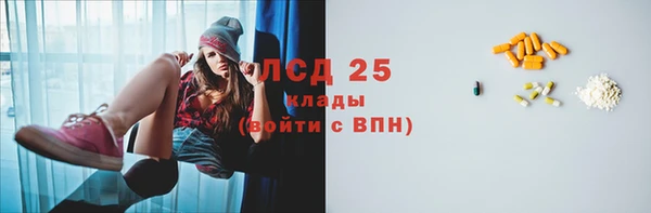 индика Абаза