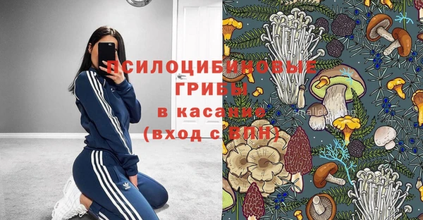 круглые Алзамай