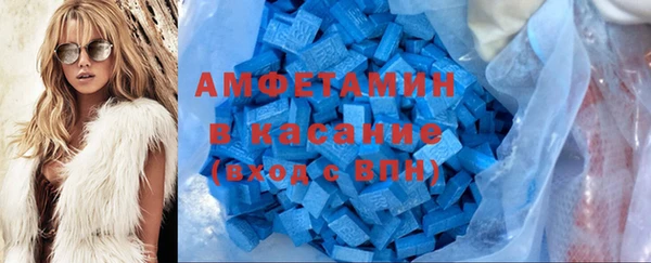 индика Абаза