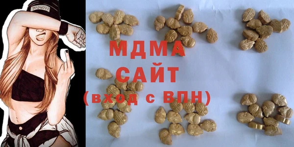 индика Абаза