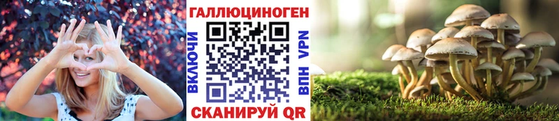 где продают наркотики  Нелидово  kraken ТОР  Псилоцибиновые грибы Psilocybe 